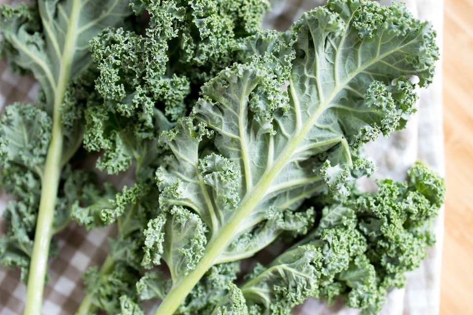 Plain cooked kale leaves