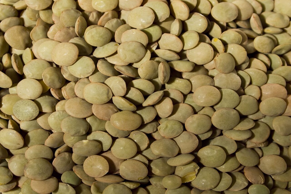 Plain cooked lentils