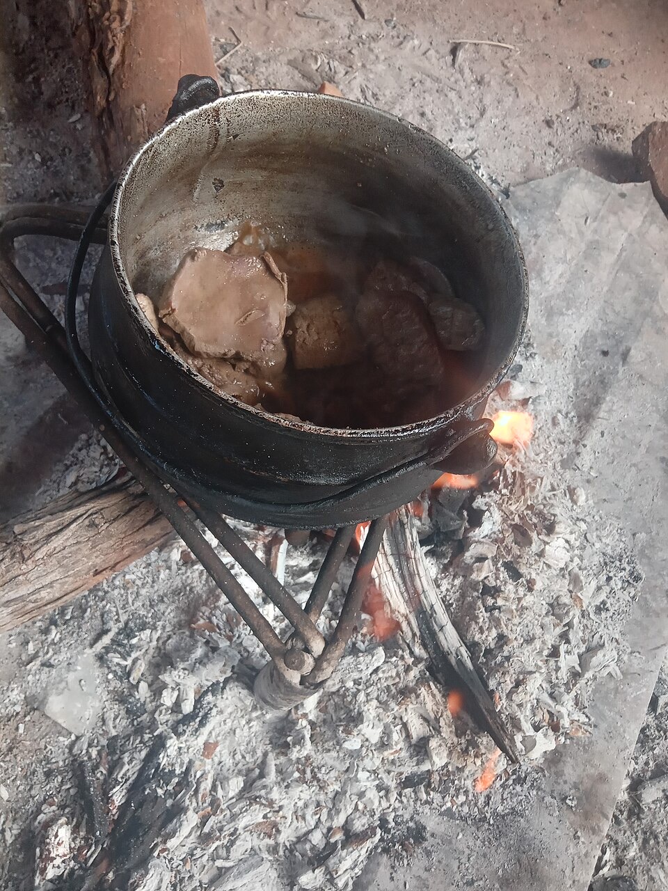 Cooked beef liver slices
