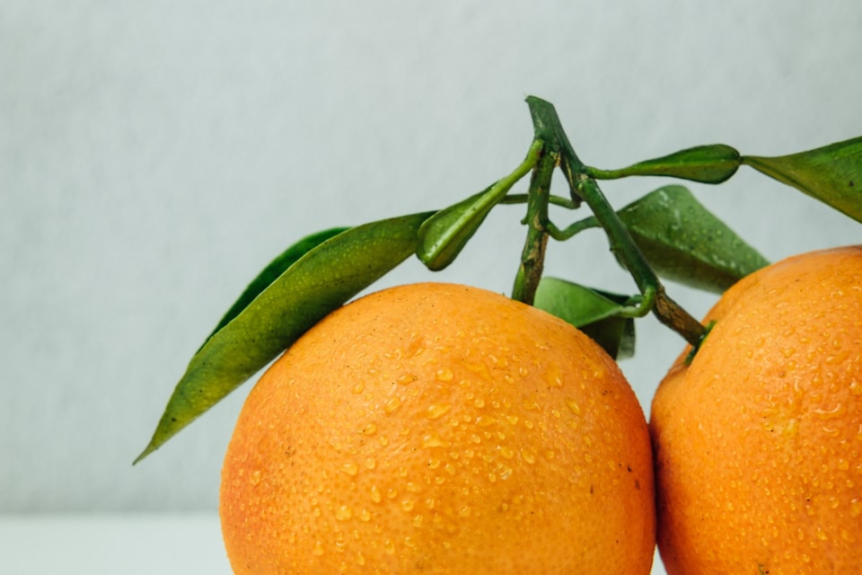 Peeled mandarin orange segments