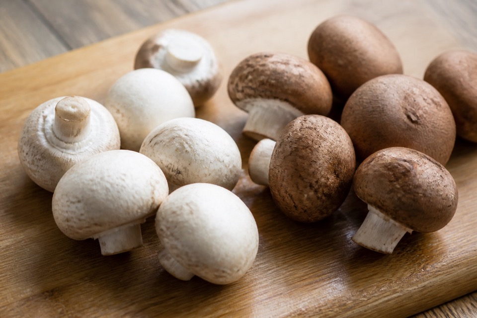 Plain cooked store-bought mushrooms kept separate from a dog