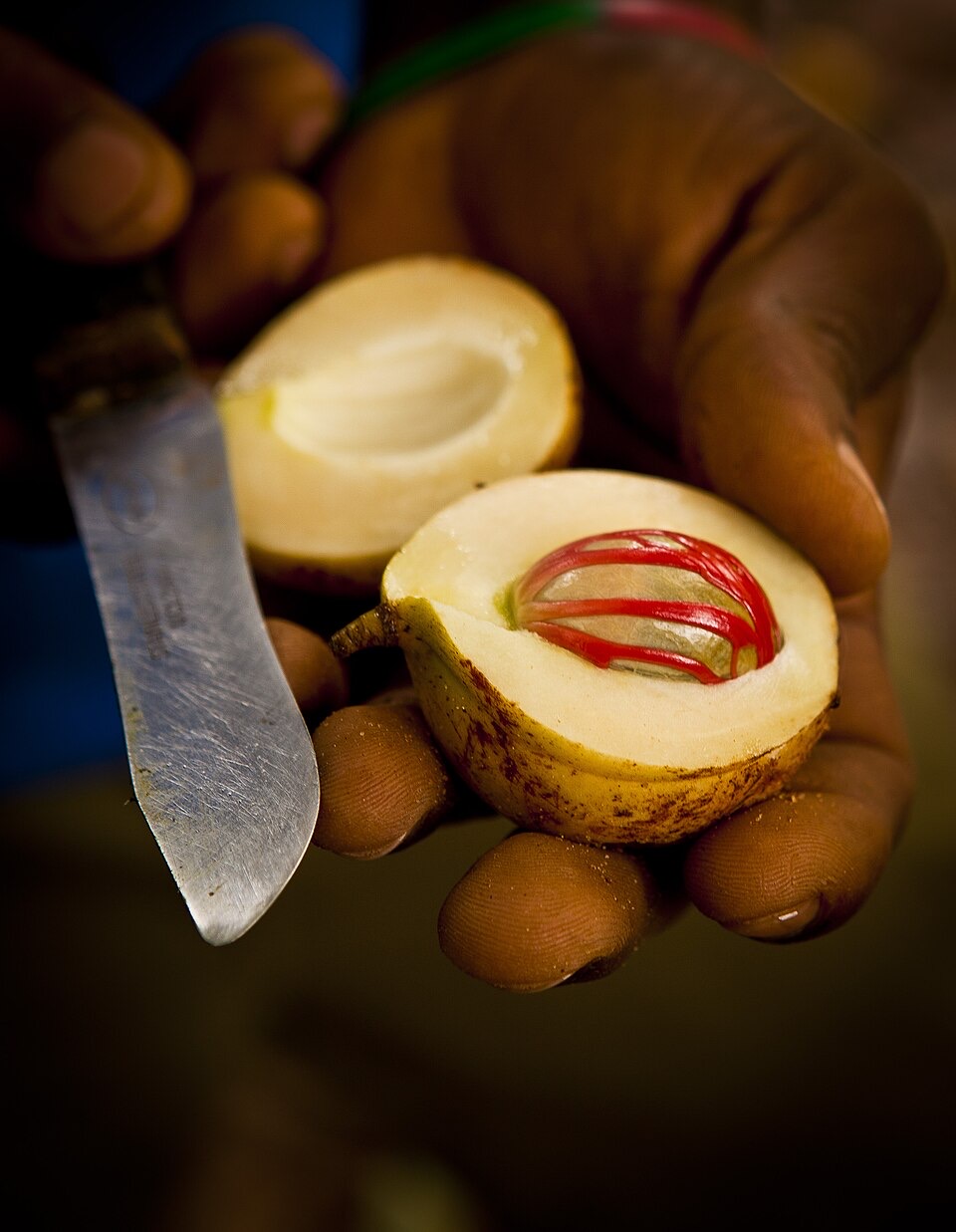 Whole and ground nutmeg