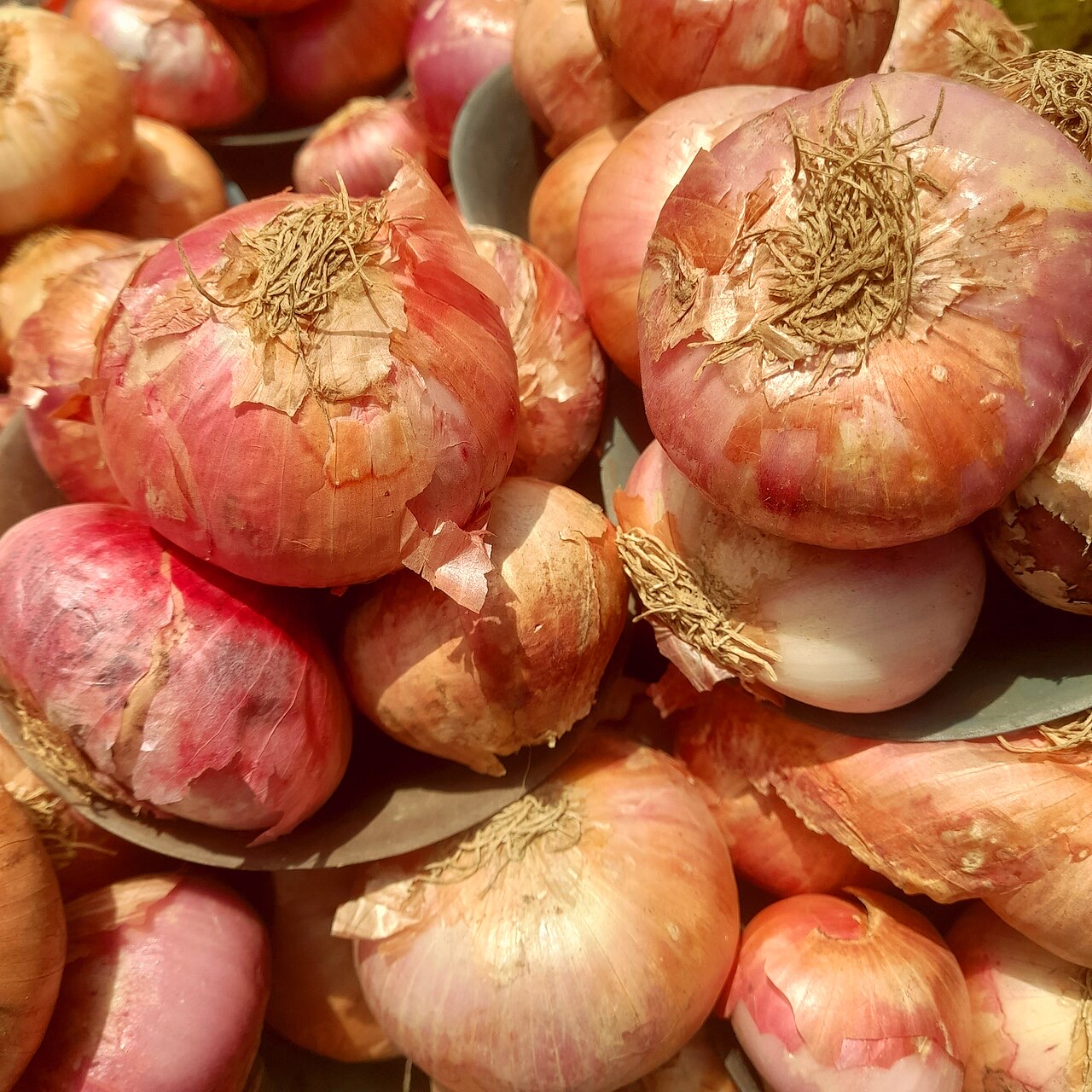 Raw and cooked onions