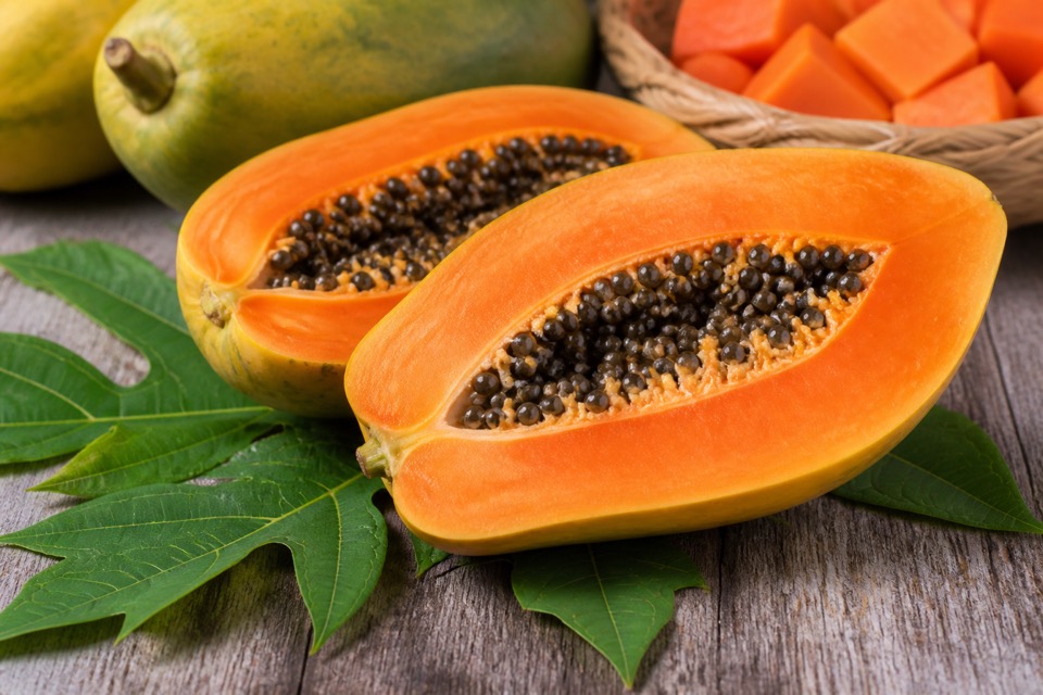 Small peeled papaya cubes prepared for a dog