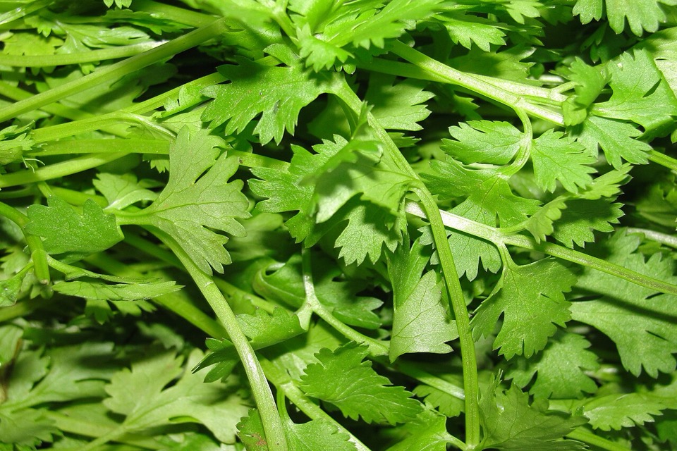 Fresh chopped parsley