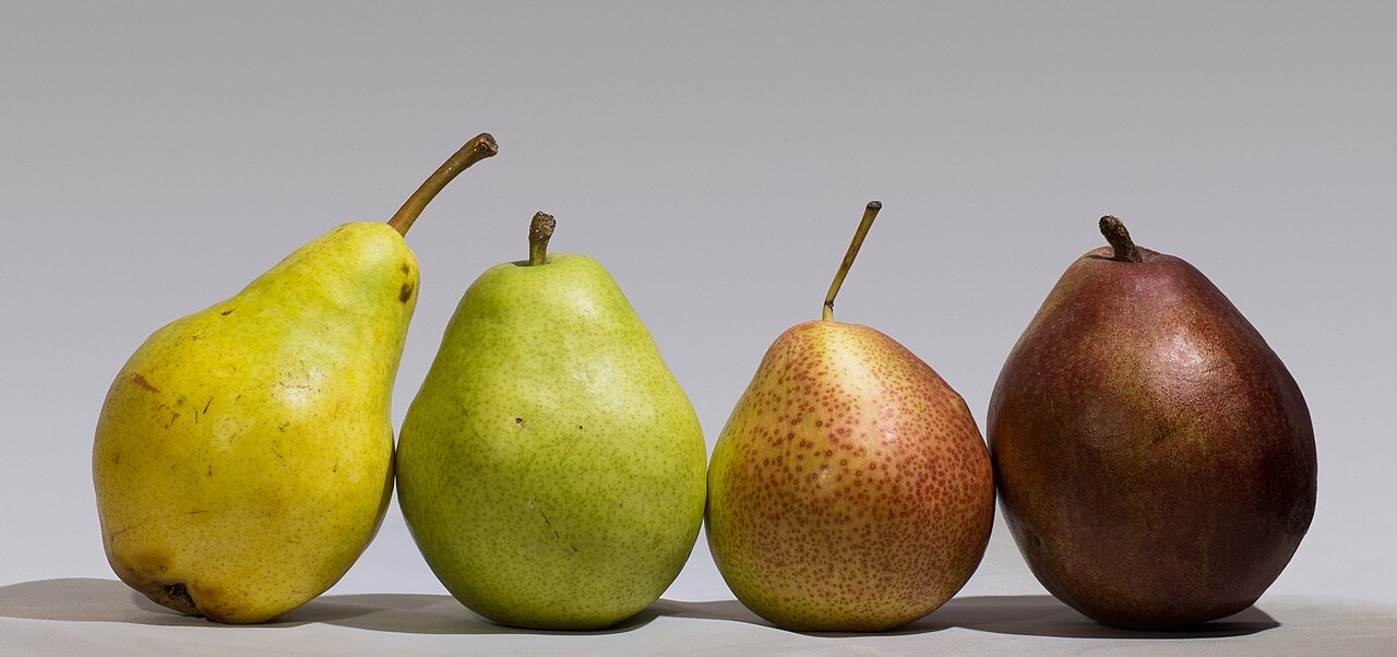 Ripe pear slices without seeds