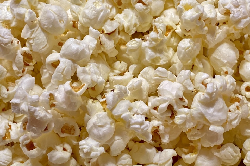 A few plain air-popped popcorn pieces for a cat