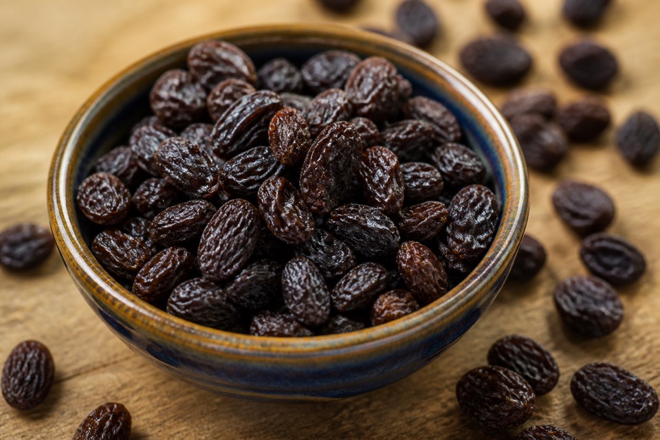Raisins kept safely away from a dog