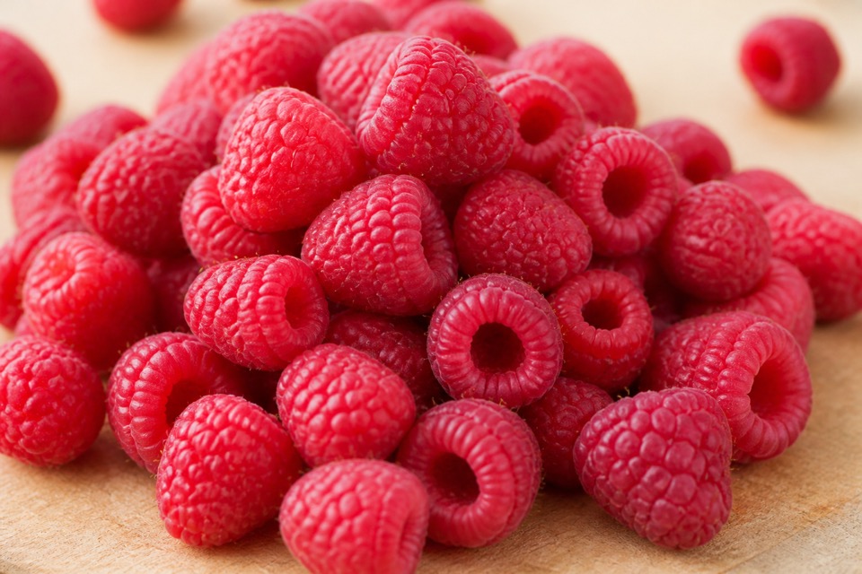 A few fresh raspberries prepared for a dog