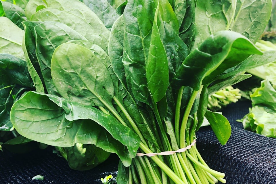 Lightly cooked spinach