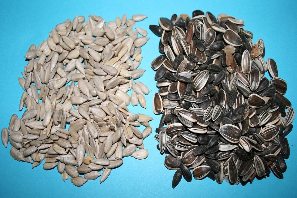 Shelled unsalted sunflower seeds