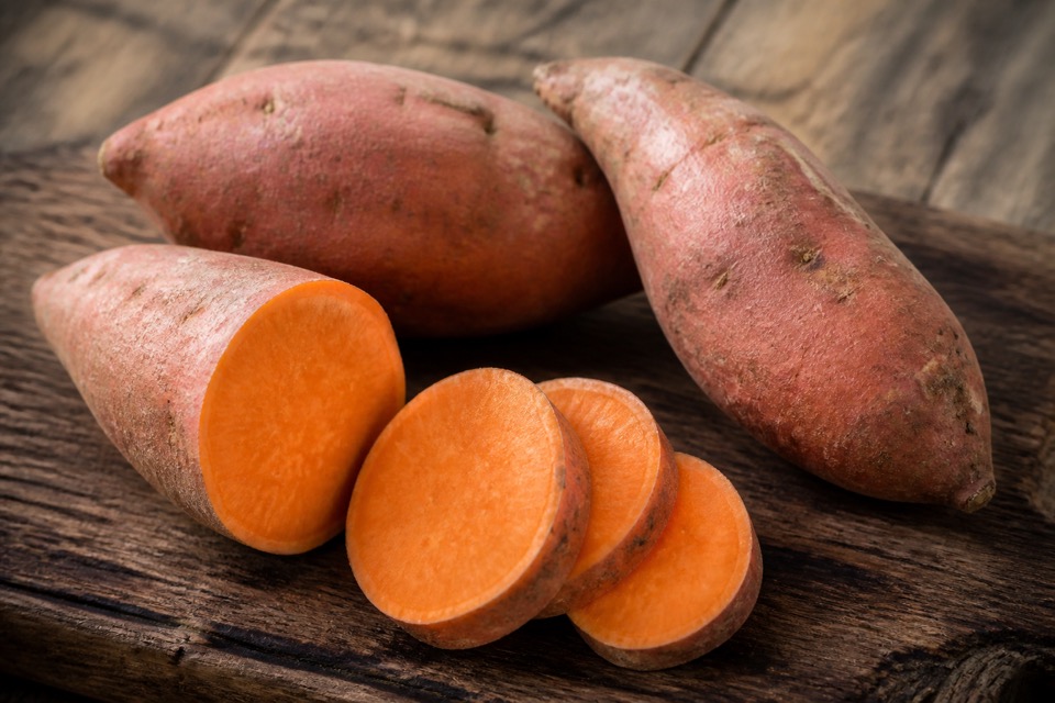 Plain cooked sweet potato cubes prepared for a dog